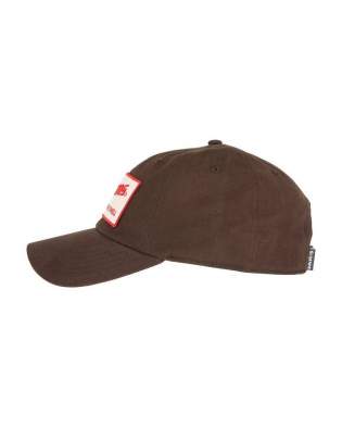 Simms Fish It Well Cap, Hickory