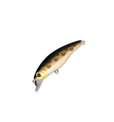 Fishycat STRAYCAT 55F / X08