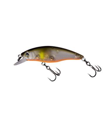 Fishycat STRAYCAT 55F / R18