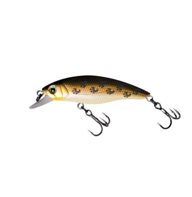 Fishycat STRAYCAT 55F / X08