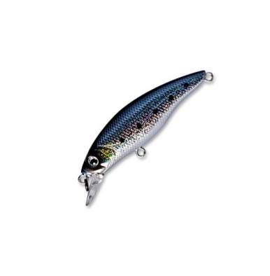 Fishycat STRAYCAT 55F / R08