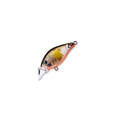 Fishycat icat 32F-SR / R18