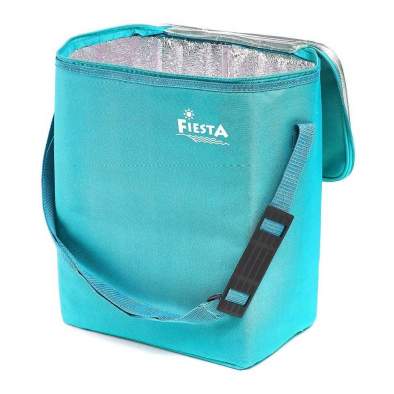 Fiesta 20 л синий