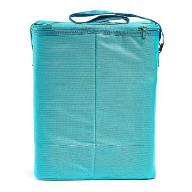 Fiesta 20 л синий