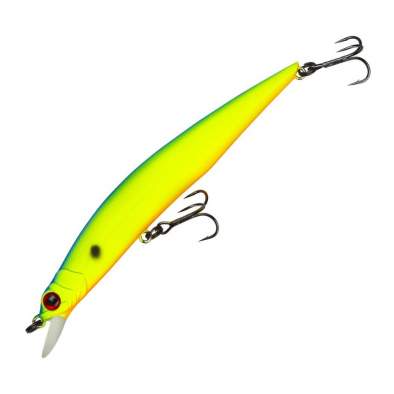 Fishycat LIBYCA 110SP / R17