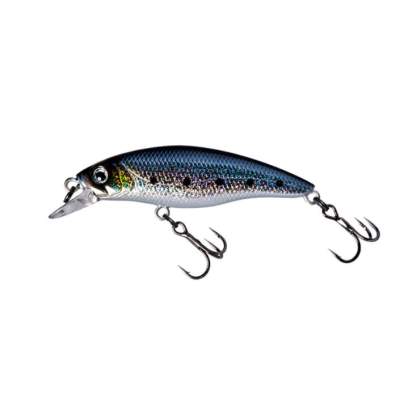 Fishycat STRAYCAT 55F / R08