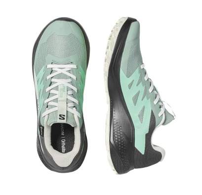 Salomon ALPHAGLIDE GTX W, Green M Asphalt-Clearly Aqua