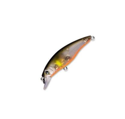 Fishycat STRAYCAT 55F / R18