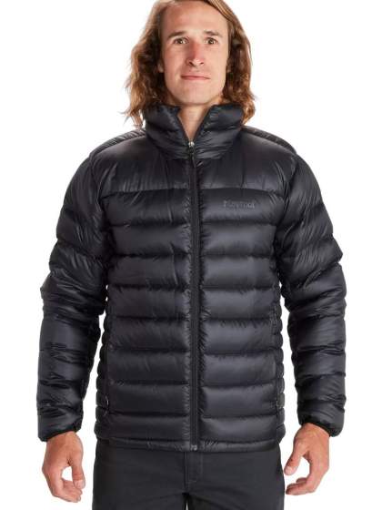 Marmot