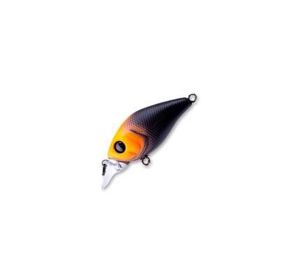 Fishycat icat 32F-SR / X12
