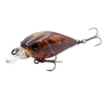 Fishycat icat 32F-SR / R20