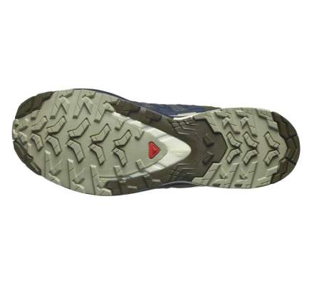 Salomon XA PRO 3D v9, Indink Olvnig Aloewa