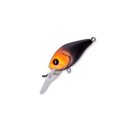 Fishycat icat 32F-DR / X12