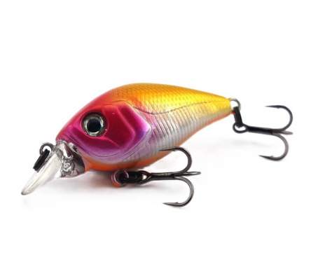 Fishycat icat 32F-SR / R21