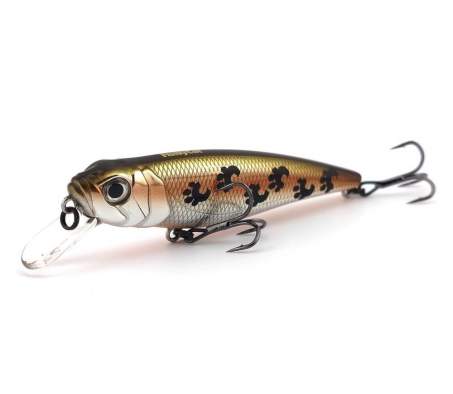 Fishycat TOMCAT 80SP-SR / X06