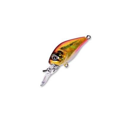 Fishycat icat 32F-DR / R15
