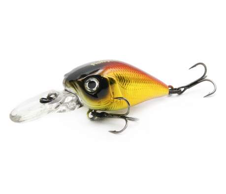 Fishycat icat 32F-DR / R15