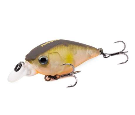 Fishycat icat 32F-SR / R18