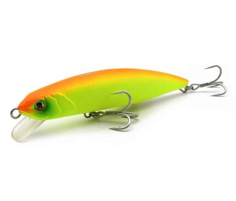 Fishycat TIGERCUB 170F / R16