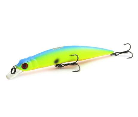 Fishycat LIBYCA 110SP / R17