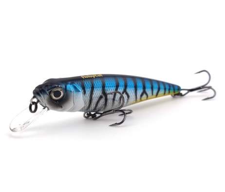 Fishycat TOMCAT 80SP-SR / R11