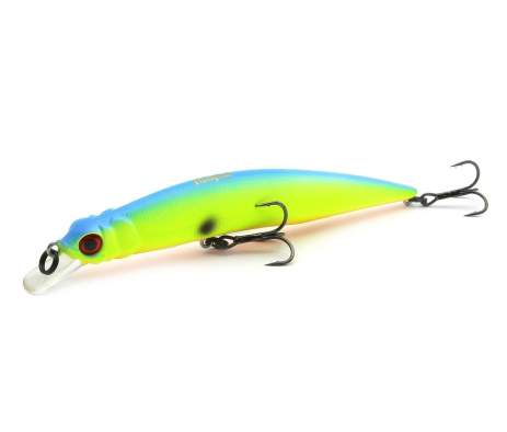 Fishycat LIBYCA 110SP / R17