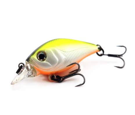 Fishycat icat 32F-SR / R23