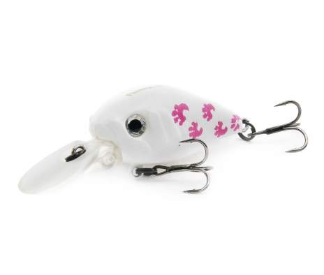 Fishycat icat 32F-DR / X10