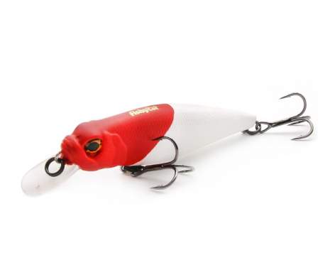 Fishycat TOMCAT 67SP-SR / X01