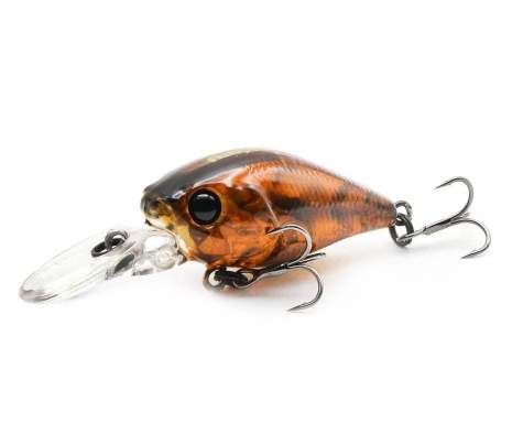 Fishycat icat 32F-DR / R20