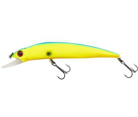 Fishycat LIBYCA 90SP / R17