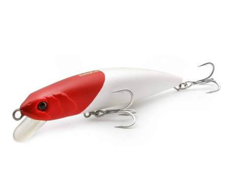 Fishycat TIGERCUB 170F / X01