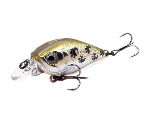 Fishycat icat 32F-SR / X06