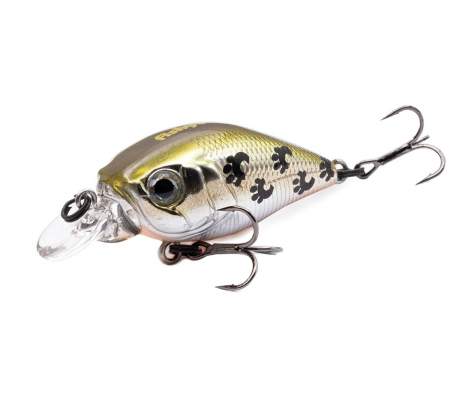 Fishycat icat 32F-SR / X06