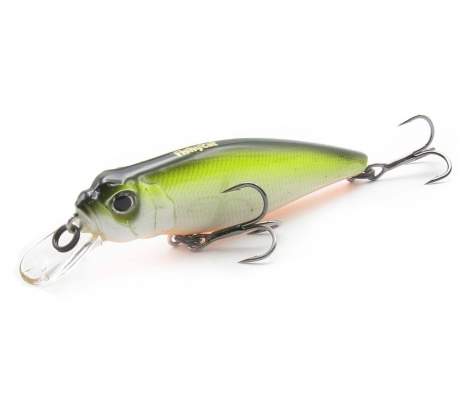 Fishycat TOMCAT 67SP-SR / R23