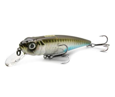 Fishycat TOMCAT 80SP-SR / R09