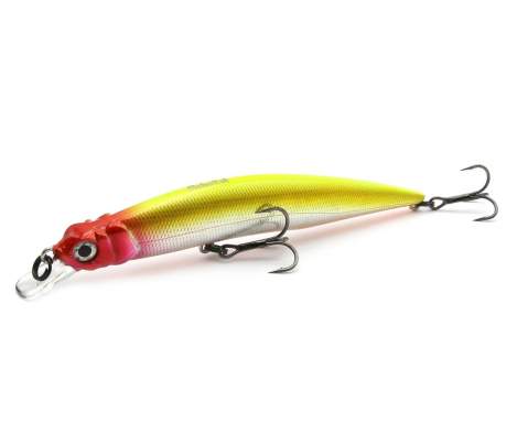 Fishycat LIBYCA 110SP / R21