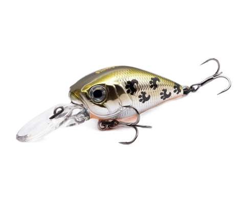 Fishycat icat 32F-DR / X06