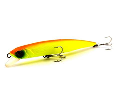 Fishycat TIGERCUB 205F / R16