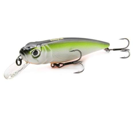 Fishycat TOMCAT 80SP-SR / R23