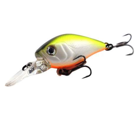 Fishycat icat 32F-DR / R23