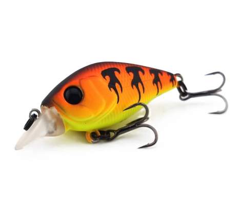 Fishycat icat 32F-SR / X13