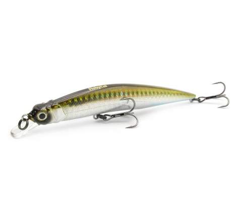 Fishycat LIBYCA 110SP / R09