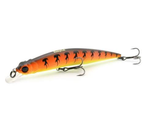 Fishycat LIBYCA 110SP / X13