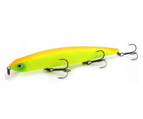 Fishycat JUNGLECAT 140SP / R16