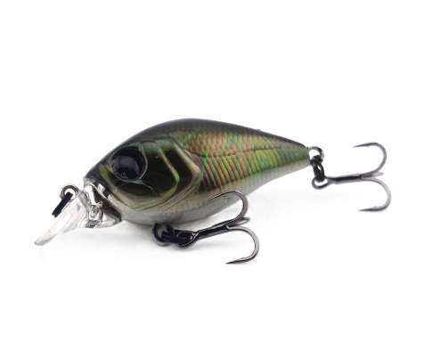 Fishycat icat 32F-SR / R29