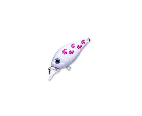 Fishycat icat 32F-SR / X10