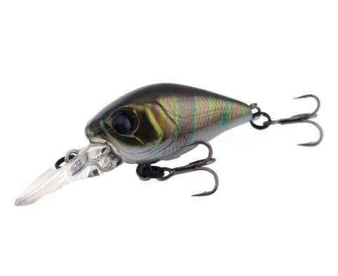 Fishycat icat 32F-DR / R29