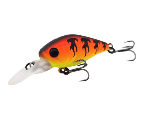 Fishycat icat 32F-DR / X13