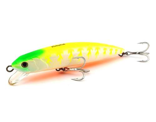 Fishycat TIGERCUB 170F / X11 (GLOW)